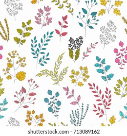 Vector flower pattern. Colorful seamless botanic texture, detailed flowers illustrations. Doodle style, spring floral background