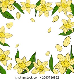 Vector flower pattern with narcissus.Summer floral background for your design, giveaway, poster, card, scrapbooking