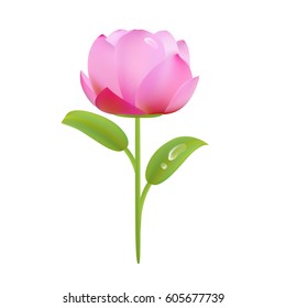 Vector flower of pink color