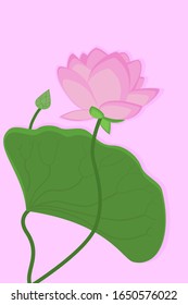 vector flower pink lily beautiful card water plants