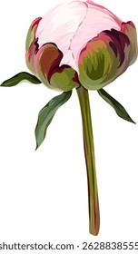 Vector flower pink peony. Realistic peony in bloom. Spring flower. Peony flower. Peony flower bud