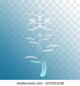 vector flower realistic water droplets on blue transparent background.vector.illustration