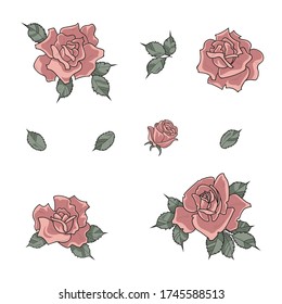 Vector flower, rose illustration, simple graphic