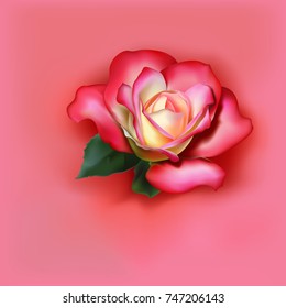 Vector flower roses for design and decorations
