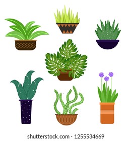 Vector flower set 