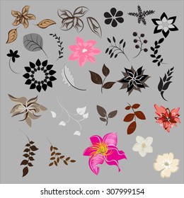Vector Flower Set