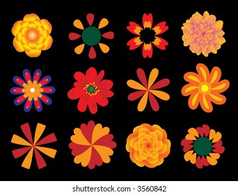 vector flower set