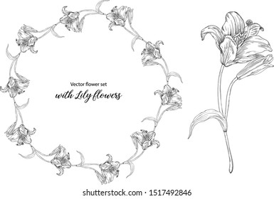 Vector flower set with Lily flowers