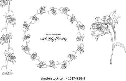 Vector flower set with Lily flowers