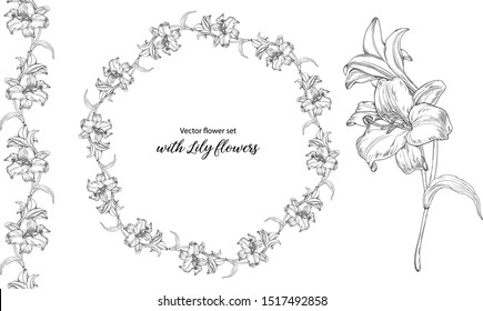Vector flower set with Lily flowers