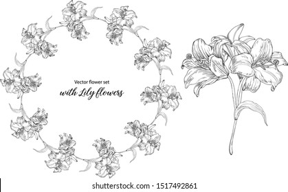 Vector flower set with Lily flowers