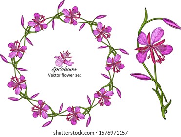 Vector flower set, with pink delicate flowers