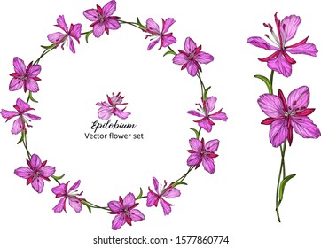 Vector flower set, with pink delicate flowers