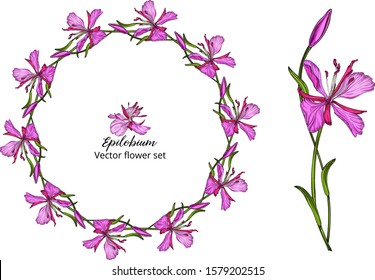 Vector flower set, with pink delicate flowers