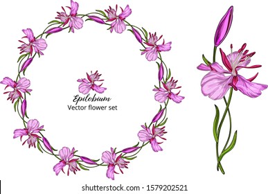 Vector flower set, with pink delicate flowers