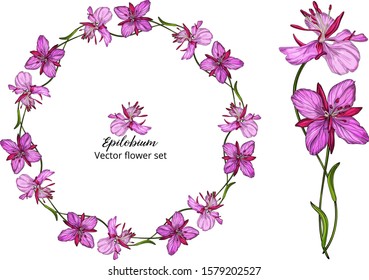 Vector flower set, with pink delicate flowers