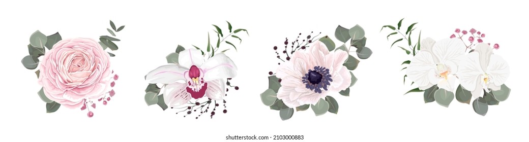 Conjunto de flores vectoriales. Rosas rosas, anémonas y orquídeas blancas, eucalipto, gypsophila rosa, plantas verdes y hojas. Flores sobre fondo blanco