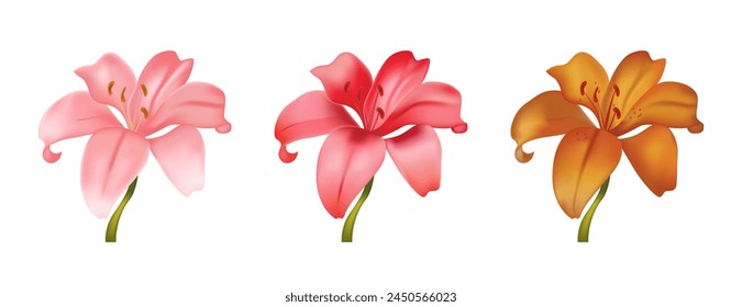 Vector Flower Set. Realistic Lily Elements for Labels of Cosmetic, Skin Care, Product Design. Vector 3d Illustration.