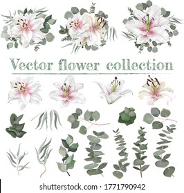 Vector flower set. White lilies with pink drops. Different plants and leaves, eucalyptus, berries. Each element separately on a white background.