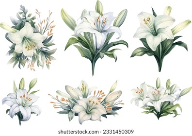 Vector flower set of white lilies branches with flowers and leaves on a white background.