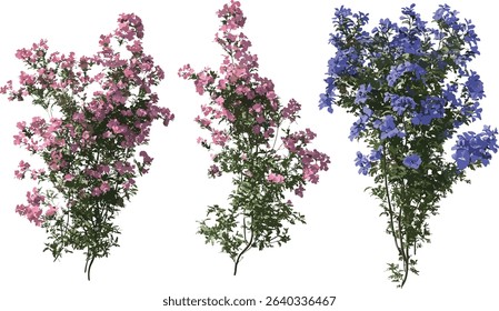 Vector flower shapes, blossom shrub, floral illustration, blooming plants, nature design, decorative flowers, abstract floral patterns, botanical shapes, spring flowers