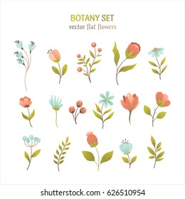 Vector flower simple flat botany collection isolated on white background. Set of floral and herb elements, ecology signs and icons.