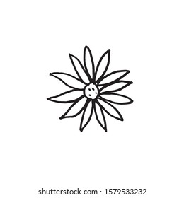 Vector flower St. Valentine's Day decoration on the isolated background.Scandinavian style February 14.Doodle black sketch line illustration.Design for stickers, web and coloring.