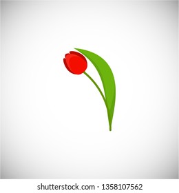 Vector flower tulip. Tulip can be used as design element, icon, decoration. Vector illustration. EPS10