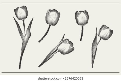 Vector flower tulip trendy retro photocopy effect. Modern stipple dots texture for design art. y2k vintage collage set.