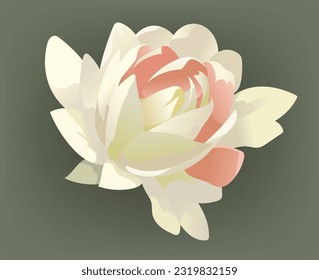 Vector flower for wedding invitation, elegant set of decorative design elements. Floral pastel vector style stock illustration