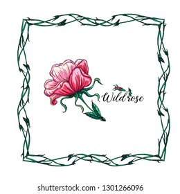 vector flower wreath with flowers and wild rose leaves