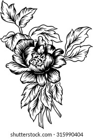 Vector flower.hand-drawn lines of roses.