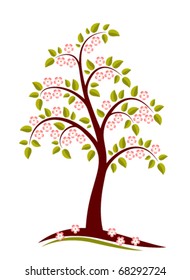 vector flowering apple tree on white background