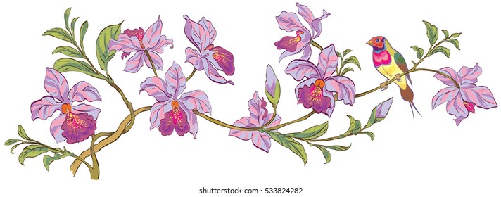 Rama florida vectorial de orquídeas con pájaro colorido. Perfecto para saludar