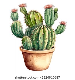 Vector flowering cactus in a pot. Watercolor illustration on white. Watercolor cactus plant and succulent plant in pot.