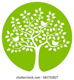 vector flowering tree with birds isolated on green round