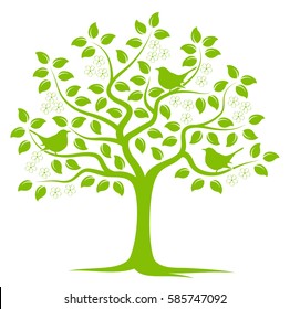 vector flowering tree with birds isolated on white background