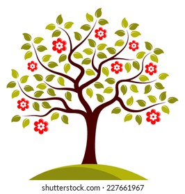 vector flowering tree isolated on white background