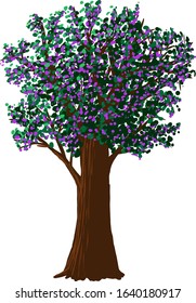 Vector flowering tree on white background