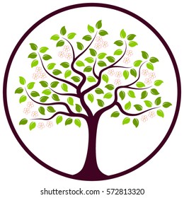 vector flowering tree in round isolated on white background