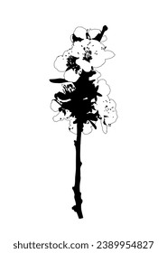 vector flowering twig isolated on white background