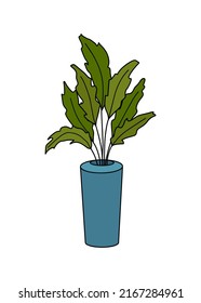 Vector flowerpot icon. Home Indoor Plants. Houseplants in Pots. Doodle illustration, clipart. Tropical plant colored icon