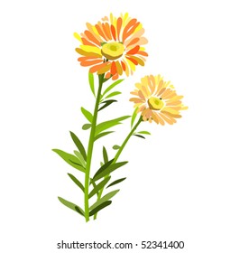 vector flowers