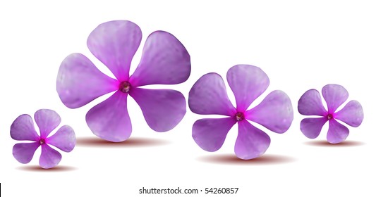 Vector Flowers