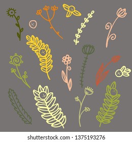 Vector flowers berries hand drawn set card 