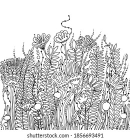 Flores vectoriales de color negro para la decoración. Libro de flores y pelucas para adultos.
