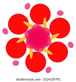 vector of flowers in bloom in pink and red