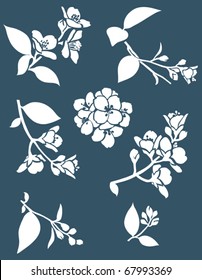 Vector flowers. Blooming jasmin twigs