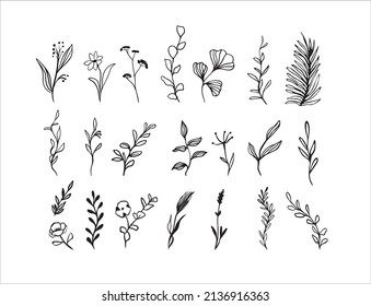 Vector flowers, branches and leaves. Botanical hand drawn elements. Monochrome botanical illustrations.