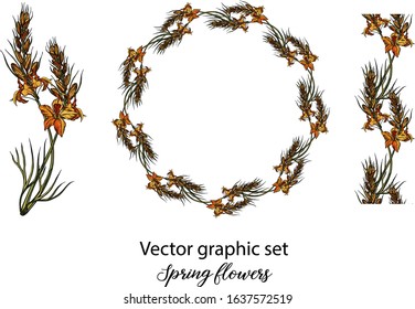 Vector flowers, buds. Botanical illustration. Spring flowers